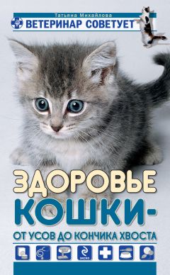 Читайте книги онлайн на Bookidrom.ru! Бесплатные книги в одном клике Татьяна Михайлова - Здоровье кошки от усов до кончика хвоста