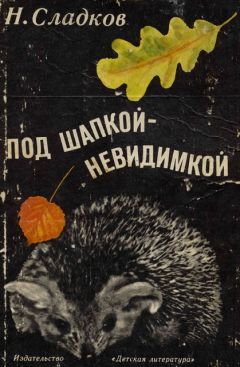 Читайте книги онлайн на Bookidrom.ru! Бесплатные книги в одном клике Николай Сладков - Под шапкой-невидимкой