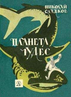 Читайте книги онлайн на Bookidrom.ru! Бесплатные книги в одном клике Николай Сладков - Планета чудес