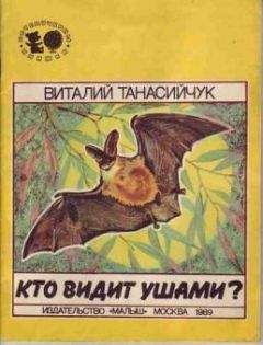 Читайте книги онлайн на Bookidrom.ru! Бесплатные книги в одном клике Виталий Танасийчук - Кто видит ушами?