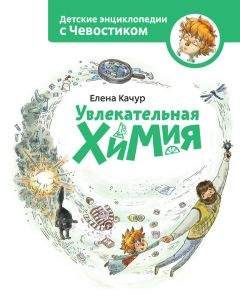 Читайте книги онлайн на Bookidrom.ru! Бесплатные книги в одном клике Елена Качур - Увлекательная химия