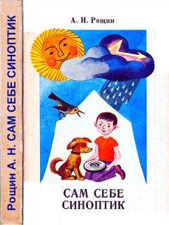 Читайте книги онлайн на Bookidrom.ru! Бесплатные книги в одном клике Алексей Рощин - Сам себе синоптик