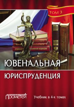 Читайте книги онлайн на Bookidrom.ru! Бесплатные книги в одном клике Коллектив авторов - Ювенальная юриспруденция. Том 3