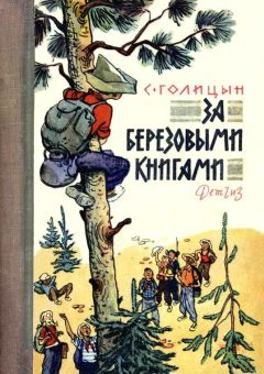 Читайте книги онлайн на Bookidrom.ru! Бесплатные книги в одном клике Сергей Голицын - За березовыми книгами