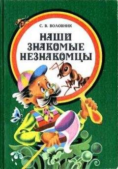 Читайте книги онлайн на Bookidrom.ru! Бесплатные книги в одном клике Семен Воловник - Наши знакомые незнакомцы