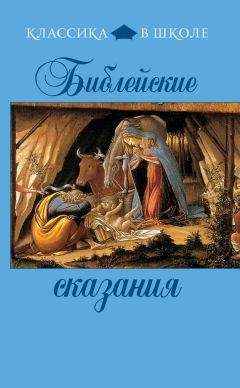 Читайте книги онлайн на Bookidrom.ru! Бесплатные книги в одном клике Сборник - Библейские сказания