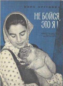Читайте книги онлайн на Bookidrom.ru! Бесплатные книги в одном клике Нора Аргунова - Не бойся, это я!