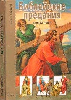 Читайте книги онлайн на Bookidrom.ru! Бесплатные книги в одном клике Г. Крылов - Библейские предания. Новый завет