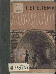 Читайте книги онлайн на Bookidrom.ru! Бесплатные книги в одном клике Я. Перельман - Лабиринты