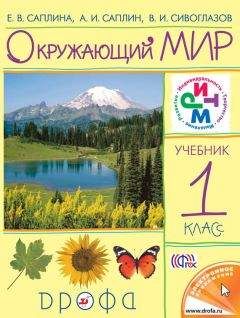 Читайте книги онлайн на Bookidrom.ru! Бесплатные книги в одном клике Владислав Сивоглазов - Окружающий мир. 1 класс