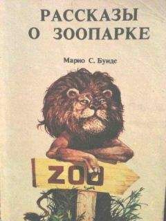 Читайте книги онлайн на Bookidrom.ru! Бесплатные книги в одном клике Марио Буиде - Рассказы о зоопарке