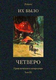 Читайте книги онлайн на Bookidrom.ru! Бесплатные книги в одном клике П. Гордашевский - Их было четверо. Приключения в микромире. Том III