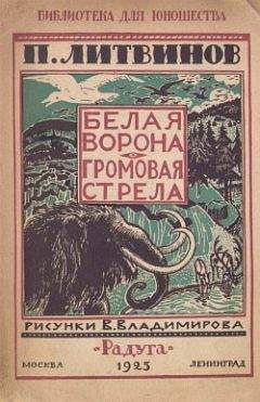 Читайте книги онлайн на Bookidrom.ru! Бесплатные книги в одном клике Павел Литвинов - Громовая стрела