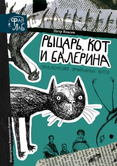 Читайте книги онлайн на Bookidrom.ru! Бесплатные книги в одном клике Петр Власов - Рыцарь, кот и балерина. Приключения эрмитажных котов