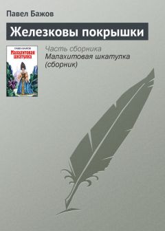 Читайте книги онлайн на Bookidrom.ru! Бесплатные книги в одном клике Павел Бажов - Железковы покрышки