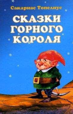 Читайте книги онлайн на Bookidrom.ru! Бесплатные книги в одном клике Сакариас Топелиус - Сампо-Лопаренок