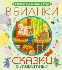 Виталий Бианки - Сказки о животных