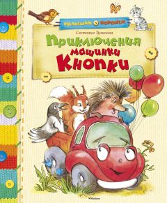 Читайте книги онлайн на Bookidrom.ru! Бесплатные книги в одном клике Светлана Тулинова - Приключения машинки Кнопки (сборник)