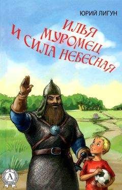 Читайте книги онлайн на Bookidrom.ru! Бесплатные книги в одном клике Юрий Лигун - Илья Муромец и Сила небесная