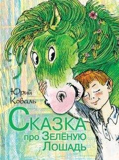 Читайте книги онлайн на Bookidrom.ru! Бесплатные книги в одном клике Юрий Коваль - Сказка про Зелёную Лошадь (сборник)