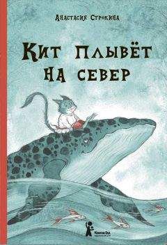 Читайте книги онлайн на Bookidrom.ru! Бесплатные книги в одном клике Анастасия Строкина - Кит плывет на север