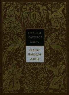 Читайте книги онлайн на Bookidrom.ru! Бесплатные книги в одном клике Николай Никулин - Сказки народов Азии