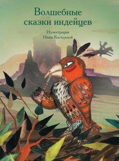 Читайте книги онлайн на Bookidrom.ru! Бесплатные книги в одном клике А. Ващенко - Волшебные сказки индейцев