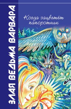 Читайте книги онлайн на Bookidrom.ru! Бесплатные книги в одном клике Всеволод Костров - Когда зацветёт папоротник