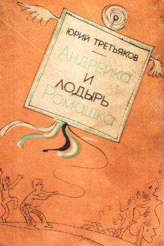 Читайте книги онлайн на Bookidrom.ru! Бесплатные книги в одном клике Третьяков Федорович - Андрейка и лодырь Ромашка