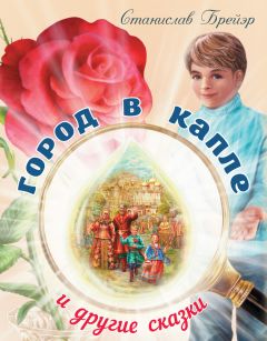 Читайте книги онлайн на Bookidrom.ru! Бесплатные книги в одном клике Станислав Брейэр - Город в капле и другие сказки