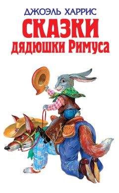 Читайте книги онлайн на Bookidrom.ru! Бесплатные книги в одном клике Йозеф Лада - Сказки дядюшки Римуса (сборник)