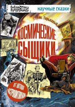 Читайте книги онлайн на Bookidrom.ru! Бесплатные книги в одном клике Николай Горькавый - Космические сыщики
