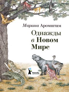 Марина Аромштам - Однажды в Новом Мире