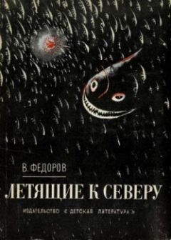 Читайте книги онлайн на Bookidrom.ru! Бесплатные книги в одном клике Вадим Фёдоров - Путешествие вверх