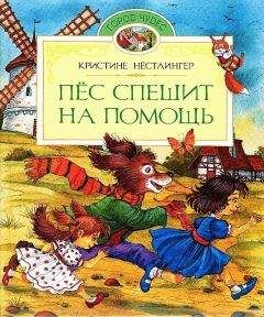 Читайте книги онлайн на Bookidrom.ru! Бесплатные книги в одном клике Кристине Нёстлингер - Пёс спешит на помощь