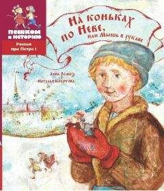 Читайте книги онлайн на Bookidrom.ru! Бесплатные книги в одном клике Анна Ремез - На коньках по Неве, или Мышь в рукаве