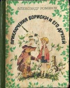 Читайте книги онлайн на Bookidrom.ru! Бесплатные книги в одном клике Александр Романов - Приключения Бориски и его друзей