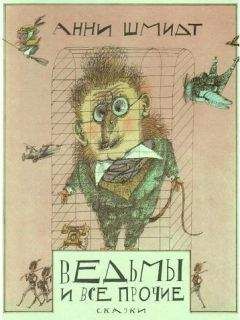 Читайте книги онлайн на Bookidrom.ru! Бесплатные книги в одном клике Анна Шмидт - Ведьмы и все прочие