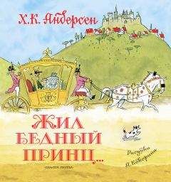 Читайте книги онлайн на Bookidrom.ru! Бесплатные книги в одном клике Ганс Христиан Андерсен - Жил бедный принц… (сборник)