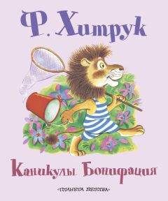 Читайте книги онлайн на Bookidrom.ru! Бесплатные книги в одном клике Фёдор Хитрук - Каникулы Бонифация (сборник)