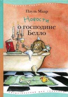 Читайте книги онлайн на Bookidrom.ru! Бесплатные книги в одном клике Пауль Маар - Новости о господине Белло