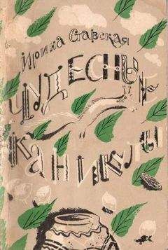 Читайте книги онлайн на Bookidrom.ru! Бесплатные книги в одном клике Ирина Ставская - Чудесные каникулы