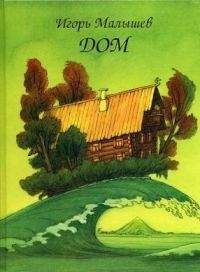 Читайте книги онлайн на Bookidrom.ru! Бесплатные книги в одном клике Игорь Малышев - Дом