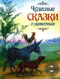 Читайте книги онлайн на Bookidrom.ru! Бесплатные книги в одном клике Якоб Гримм - Чудесные сказки о животных