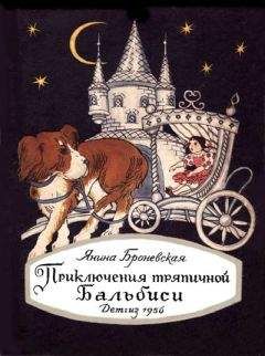 Читайте книги онлайн на Bookidrom.ru! Бесплатные книги в одном клике Янина Броневская - Приключения тряпичной Бальбиси