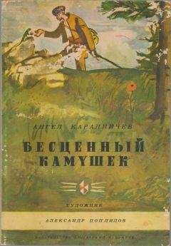 Читайте книги онлайн на Bookidrom.ru! Бесплатные книги в одном клике Ангел Каралийчев - Бесценный камушек