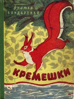 Читайте книги онлайн на Bookidrom.ru! Бесплатные книги в одном клике Братья Бондаренко - КРЕМЕШКИ