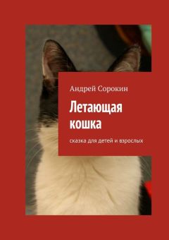 Читайте книги онлайн на Bookidrom.ru! Бесплатные книги в одном клике Андрей Сорокин - Летающая кошка. Сказка для детей и взрослых