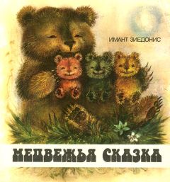 Читайте книги онлайн на Bookidrom.ru! Бесплатные книги в одном клике Имант Зиедонис - Медвежья сказка
