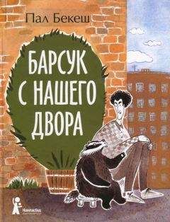 Читайте книги онлайн на Bookidrom.ru! Бесплатные книги в одном клике Пал Бекеш - Барсук с нашего двора